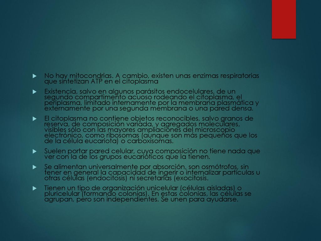 No hay mitocondrias. A cambio, existen unas enzimas respiratorias que sintetizan ATP en el citoplasma