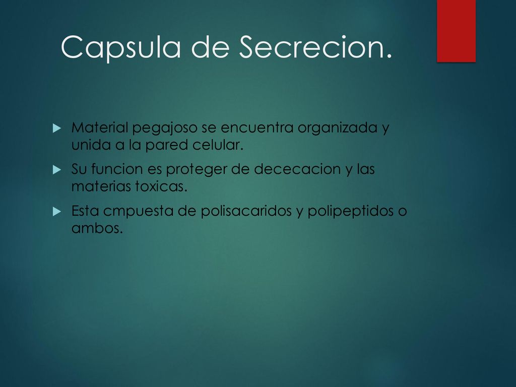 Capsula de Secrecion. Material pegajoso se encuentra organizada y unida a la pared celular.