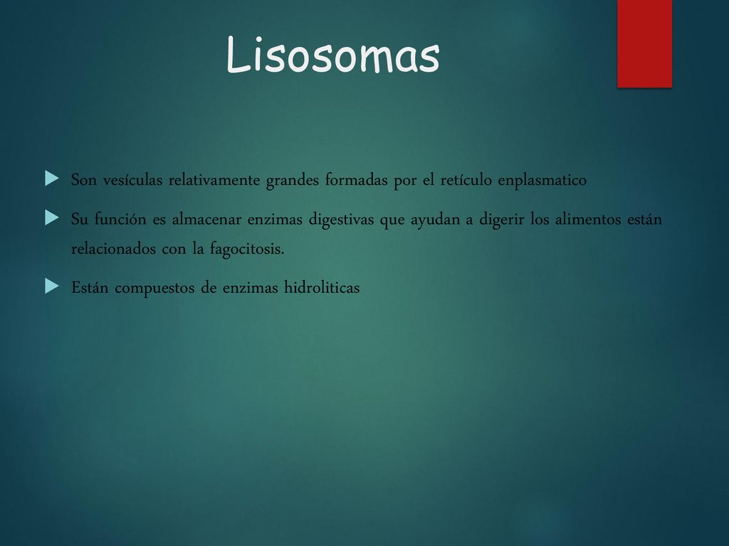 Lisosomas Son vesículas relativamente grandes formadas por el retículo enplasmatico.