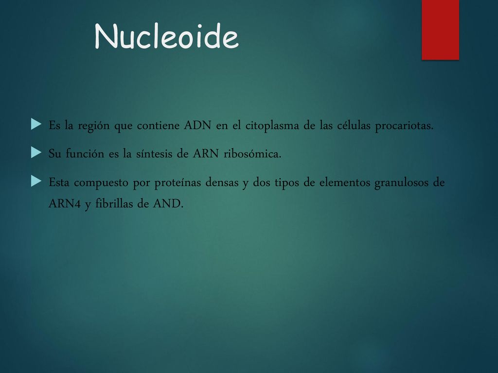 Nucleoide Es la región que contiene ADN en el citoplasma de las células procariotas. Su función es la síntesis de ARN ribosómica.