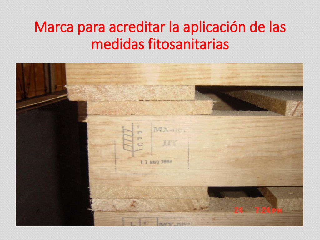 Marca para acreditar la aplicación de las medidas fitosanitarias
