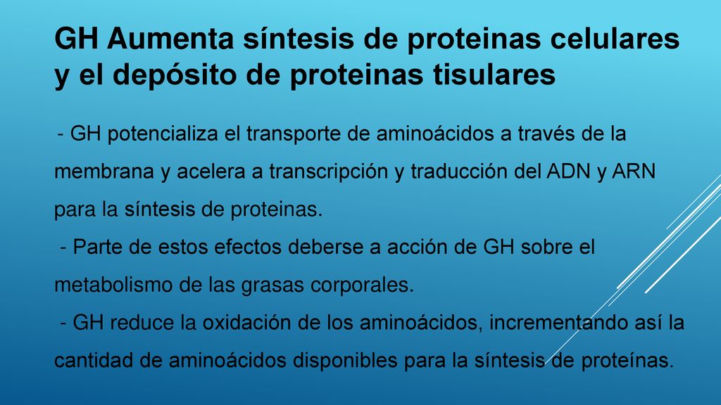 GH Aumenta síntesis de proteinas celulares y el depósito de proteinas tisulares