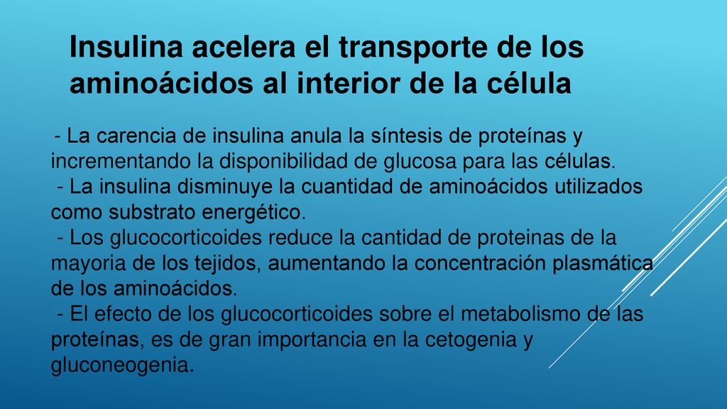 Insulina acelera el transporte de los aminoácidos al interior de la célula