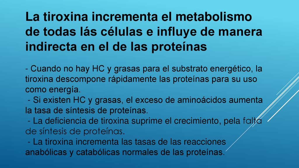 La tiroxina incrementa el metabolismo de todas lás células e influye de manera indirecta en el de las proteínas