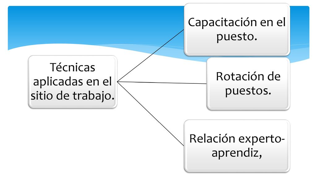 Técnicas aplicadas en el sitio de trabajo. Capacitación en el puesto.