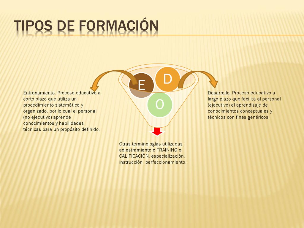 Tipos de formación O. E. D.