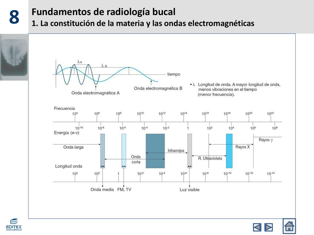 8 Fundamentos de radiología bucal 1. La constitución de la materia y las ondas electromagnéticas