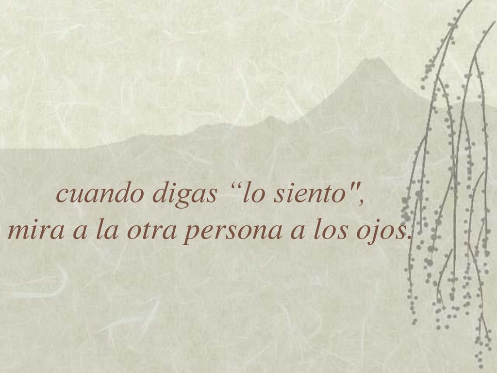 cuando digas lo siento , mira a la otra persona a los ojos.