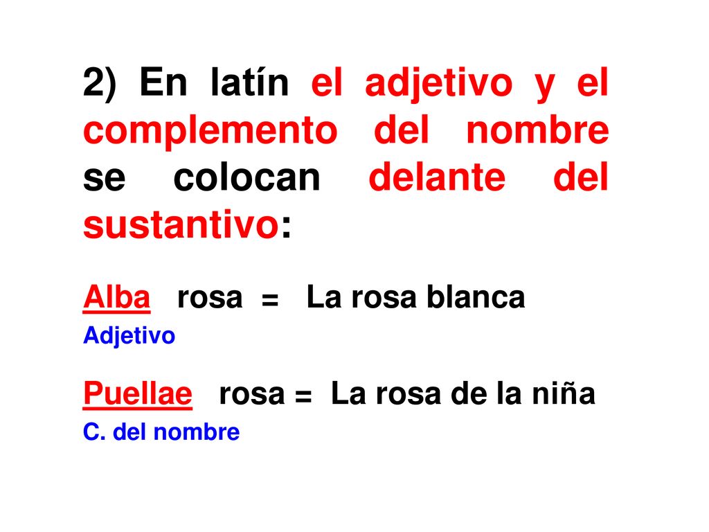 2) En latín el adjetivo y el complemento del nombre se colocan delante del sustantivo:
