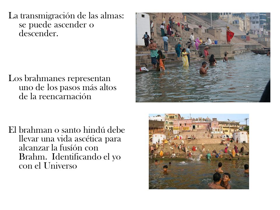 La transmigración de las almas: se puede ascender o descender.
