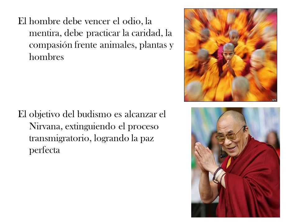 El hombre debe vencer el odio, la mentira, debe practicar la caridad, la compasión frente animales, plantas y hombres