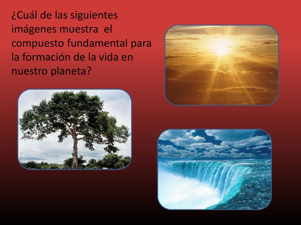 ¿Cuál de las siguientes imágenes muestra el compuesto fundamental para la formación de la vida en nuestro planeta
