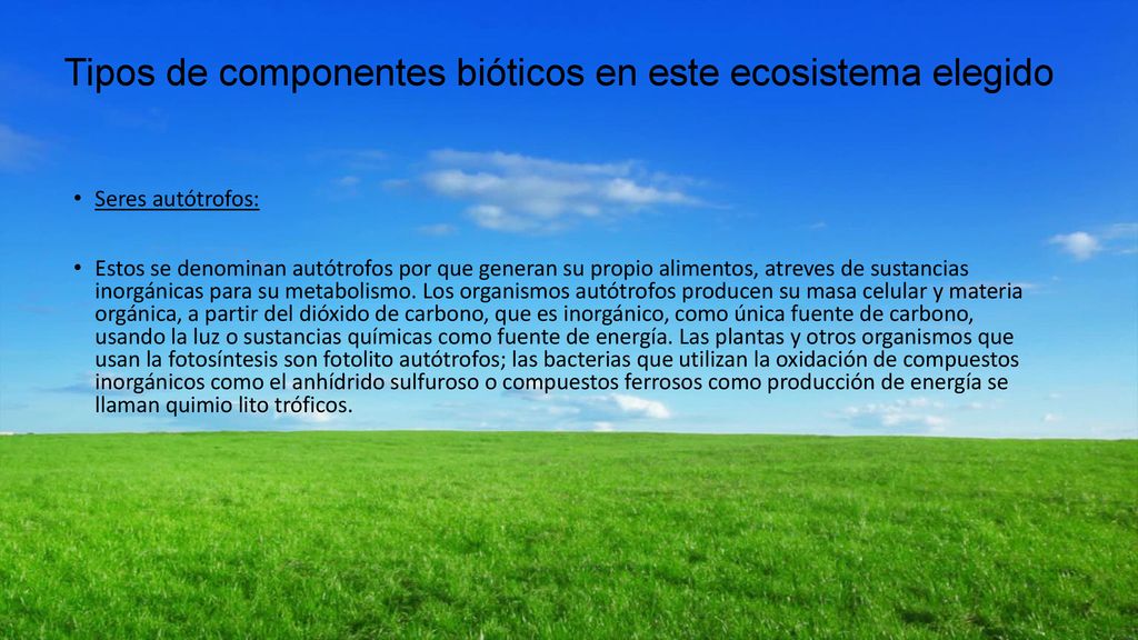 Tipos de componentes bióticos en este ecosistema elegido
