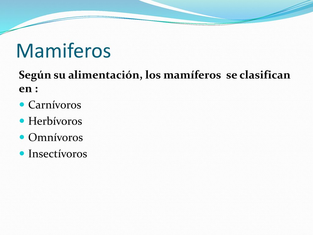 Mamiferos Según su alimentación, los mamíferos se clasifican en :