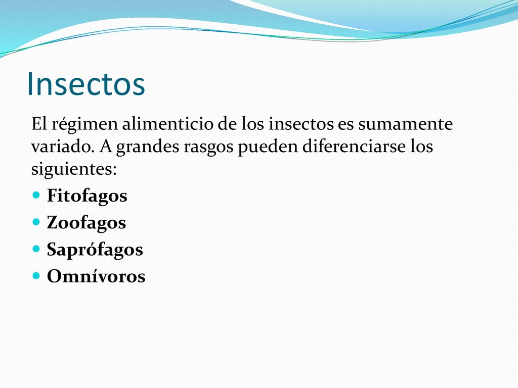 Insectos El régimen alimenticio de los insectos es sumamente variado. A grandes rasgos pueden diferenciarse los siguientes: