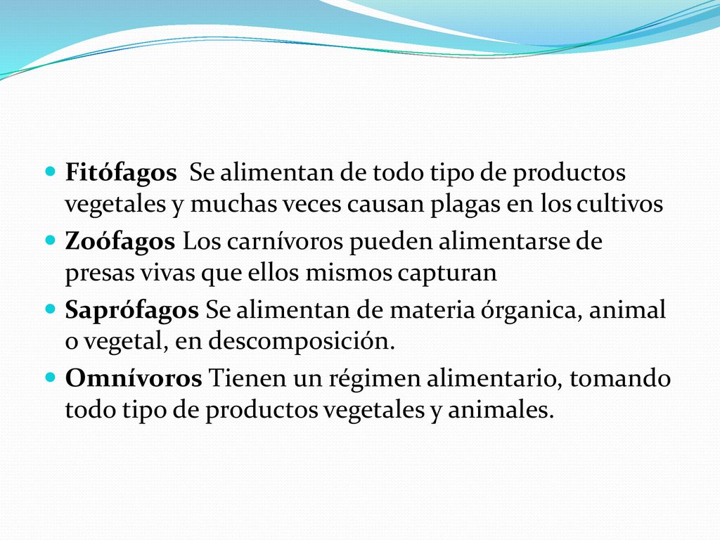 Fitófagos Se alimentan de todo tipo de productos vegetales y muchas veces causan plagas en los cultivos