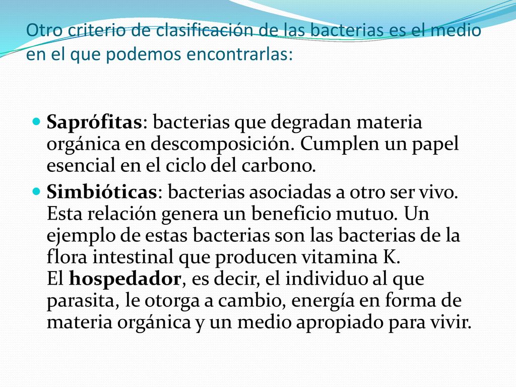 Otro criterio de clasificación de las bacterias es el medio en el que podemos encontrarlas: