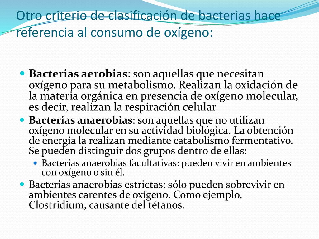 Otro criterio de clasificación de bacterias hace referencia al consumo de oxígeno: