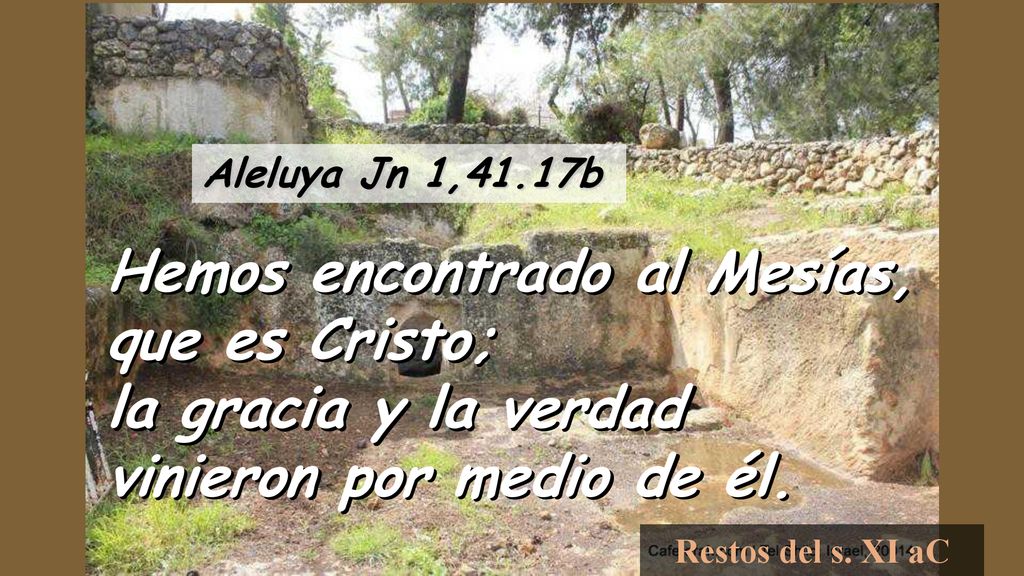 Aleluya Jn 1,41.17b Hemos encontrado al Mesías, que es Cristo; la gracia y la verdad vinieron por medio de él.