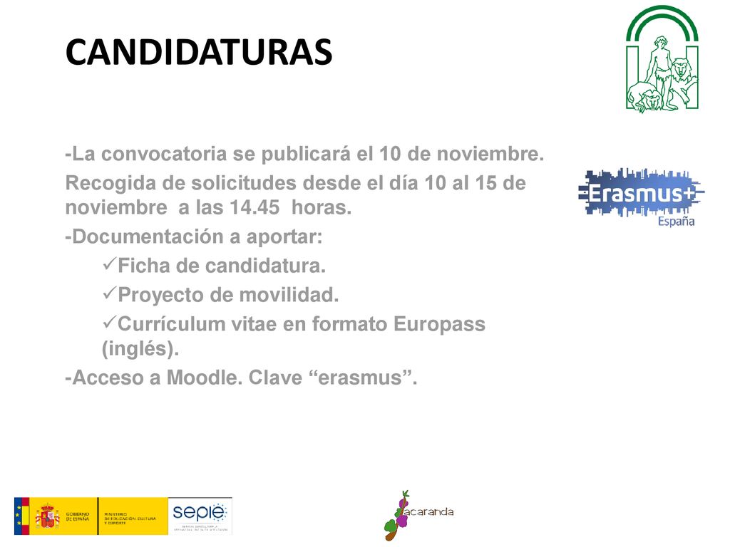candidaturas -La convocatoria se publicará el 10 de noviembre.