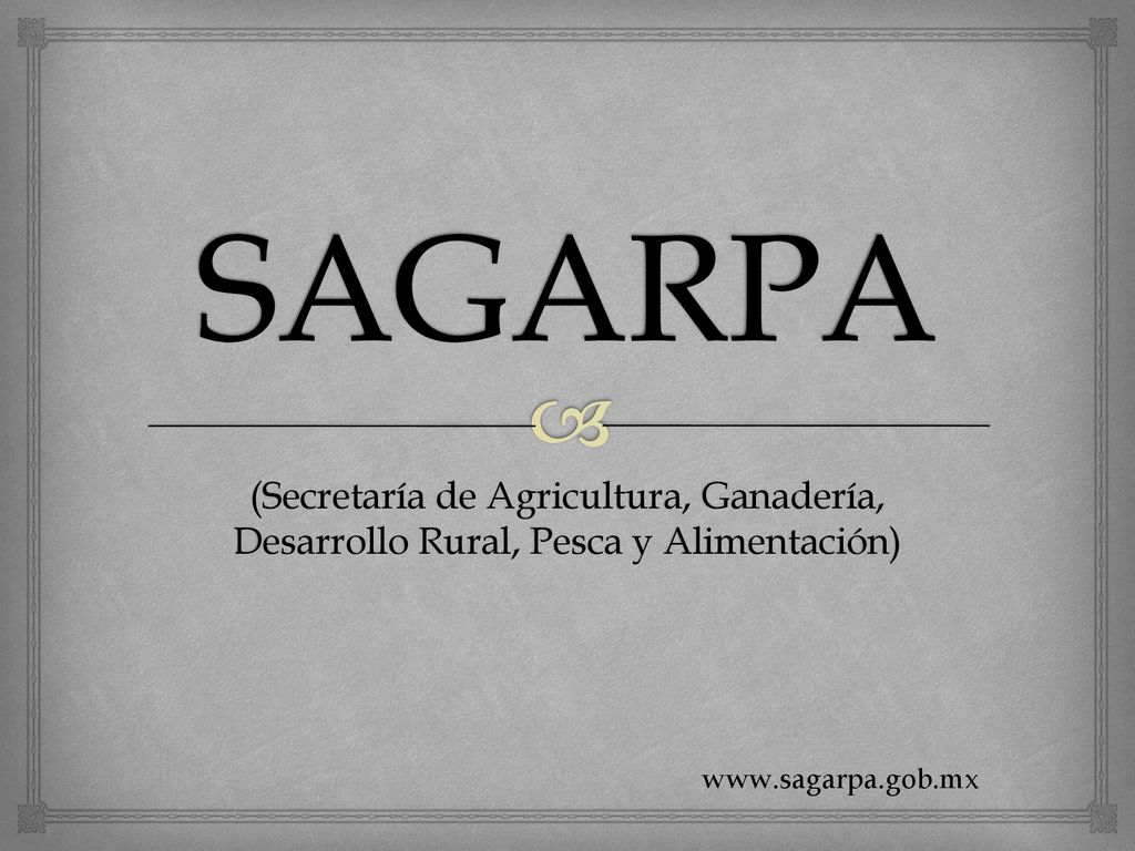 SAGARPA (Secretaría de Agricultura, Ganadería, Desarrollo Rural, Pesca y Alimentación)