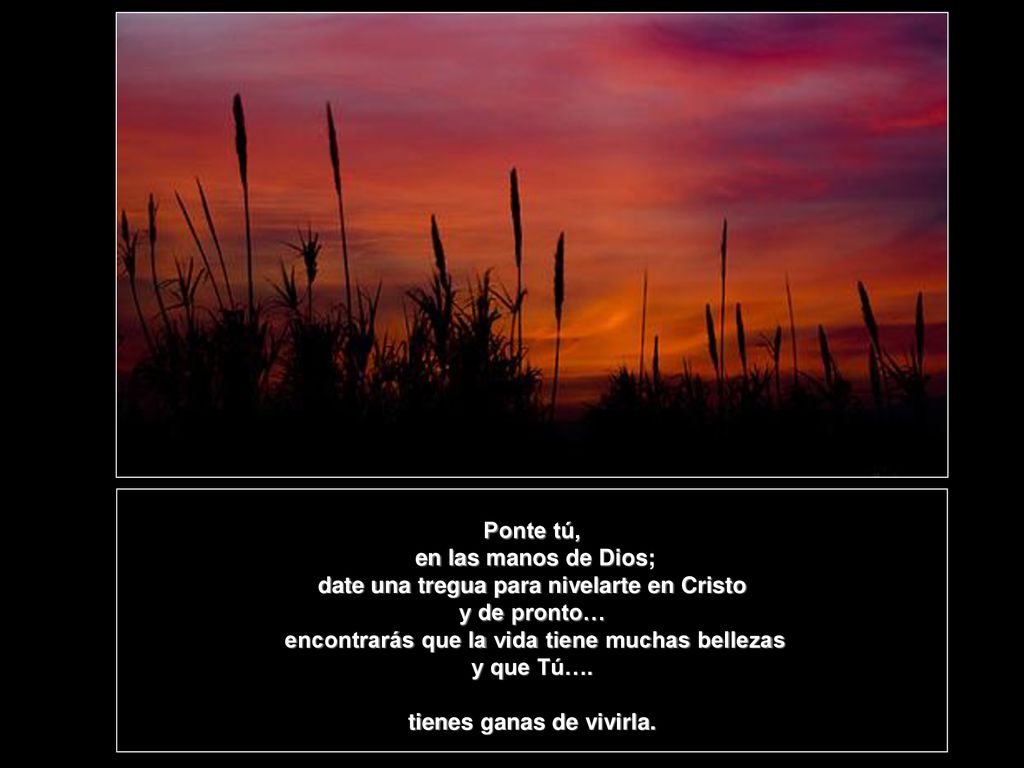 date una tregua para nivelarte en Cristo y de pronto…