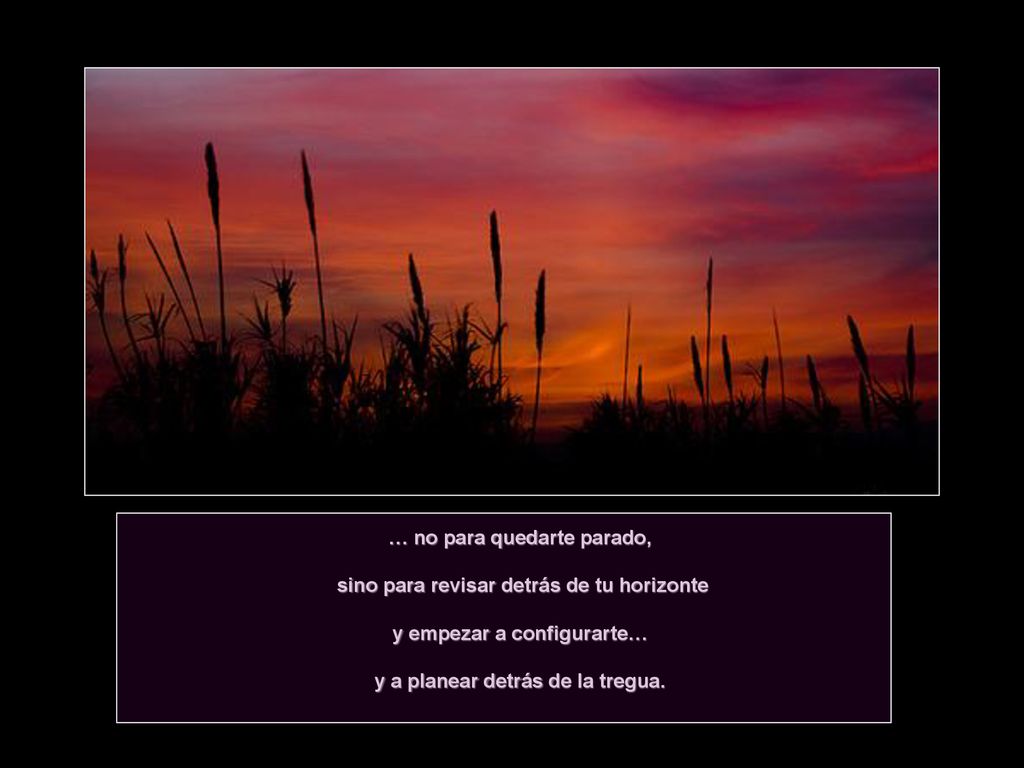 … no para quedarte parado, sino para revisar detrás de tu horizonte