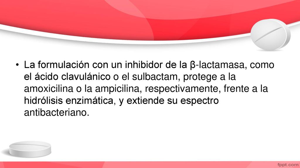 La formulación con un inhibidor de la β-lactamasa, como el ácido clavulánico o el sulbactam, protege a la amoxicilina o la ampicilina, respectivamente, frente a la hidrólisis enzimática, y extiende su espectro antibacteriano.