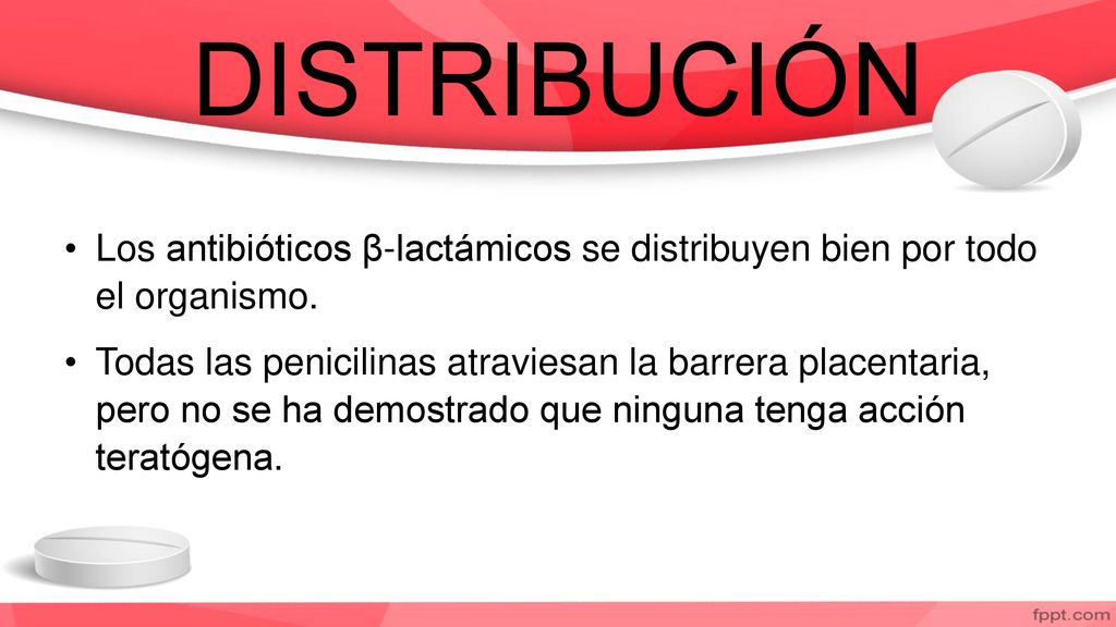 DISTRIBUCIÓN Los antibióticos β-lactámicos se distribuyen bien por todo el organismo.