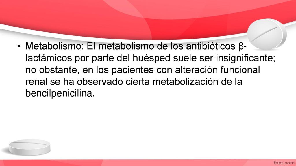 Metabolismo: El metabolismo de los antibióticos β-lactámicos por parte del huésped suele ser insignificante; no obstante, en los pacientes con alteración funcional renal se ha observado cierta metabolización de la bencilpenicilina.