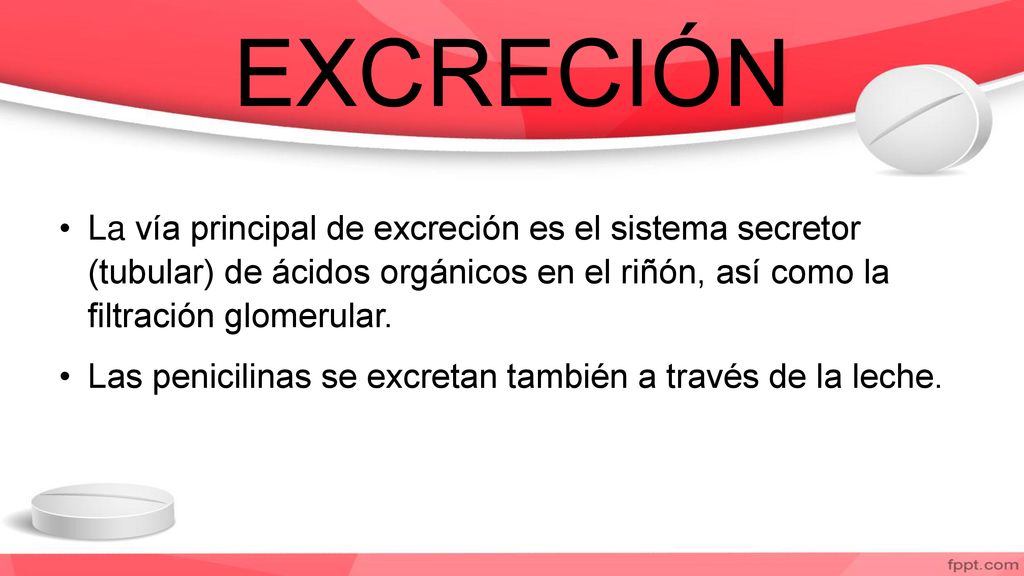EXCRECIÓN La vía principal de excreción es el sistema secretor (tubular) de ácidos orgánicos en el riñón, así como la filtración glomerular.