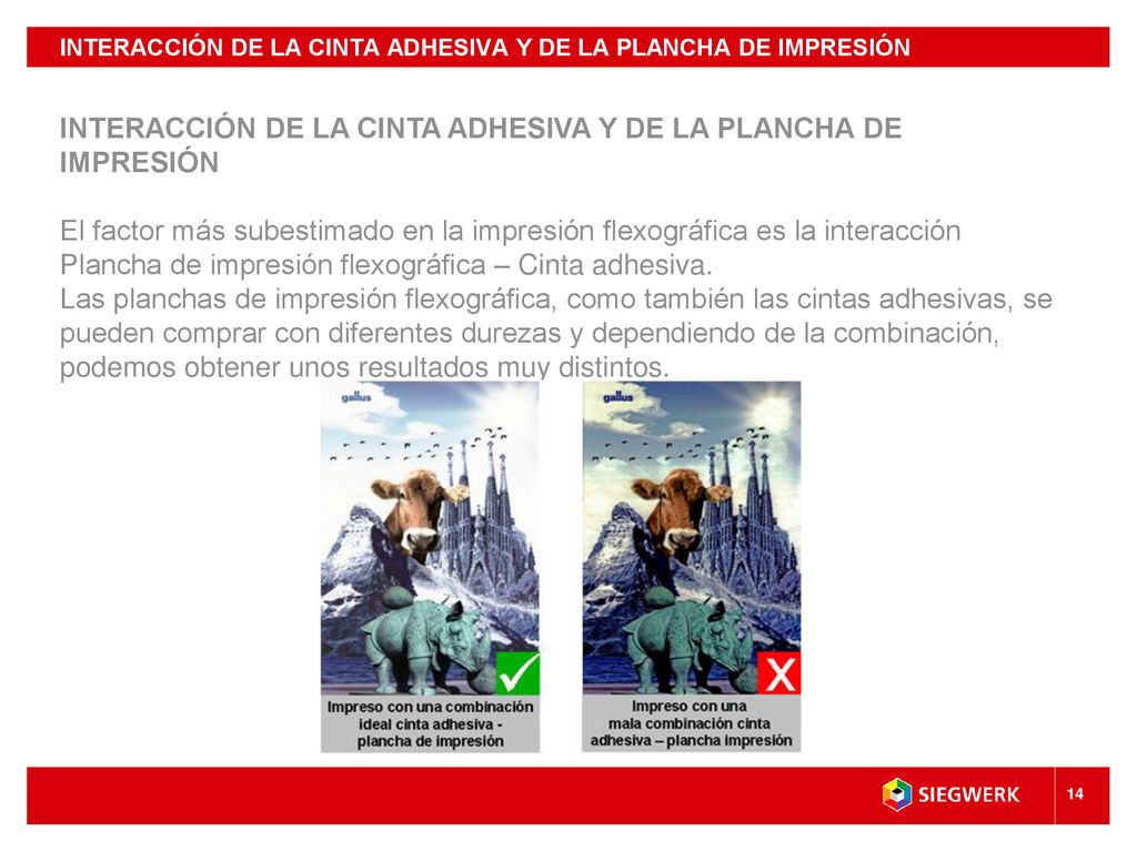 INTERACCIÓN DE LA CINTA ADHESIVA Y DE LA PLANCHA DE IMPRESIÓN