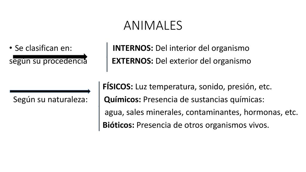 ANIMALES Se clasifican en: INTERNOS: Del interior del organismo