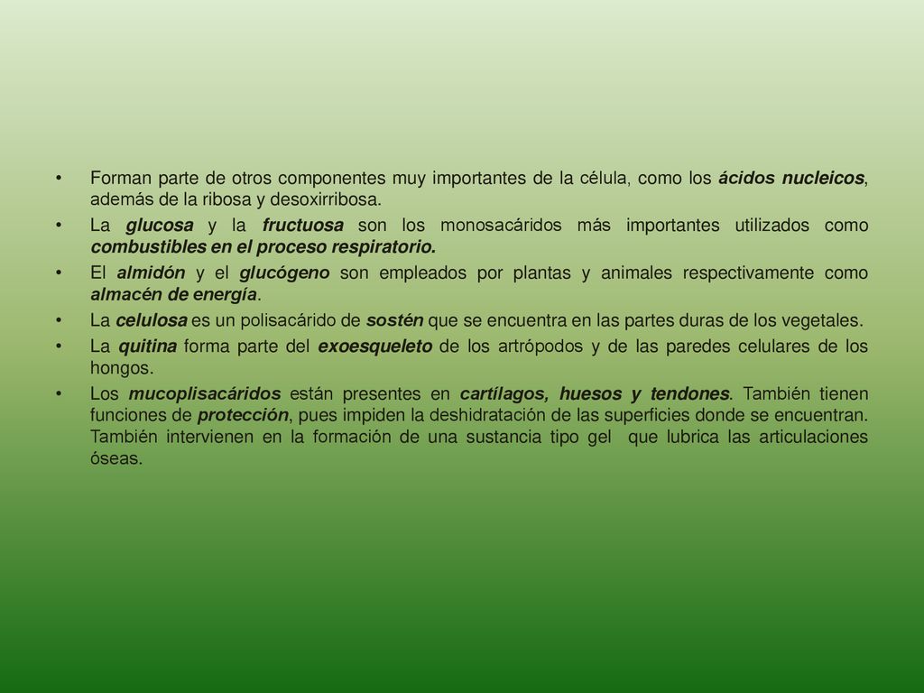 Forman parte de otros componentes muy importantes de la célula, como los ácidos nucleicos, además de la ribosa y desoxirribosa.