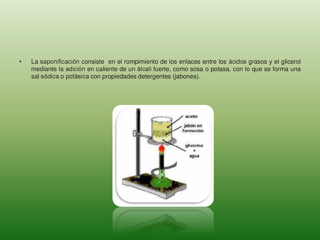 La saponificación consiste en el rompimiento de los enlaces entre los ácidos grasos y el glicerol mediante la adición en caliente de un álcali fuerte, como sosa o potasa, con lo que se forma una sal sódica o potásica con propiedades detergentes (jabones).