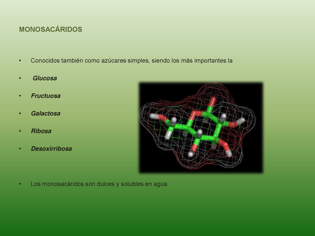 MONOSACÁRIDOS Conocidos también como azúcares simples, siendo los más importantes la. Glucosa. Fructuosa.
