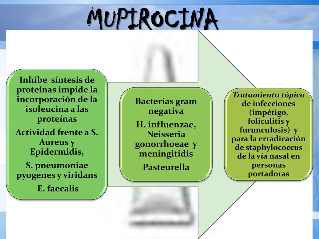 MUPIROCINA Inhibe síntesis de proteínas impide la incorporación de la isoleucina a las proteínas. Actividad frente a S. Aureus y Epidermidis,