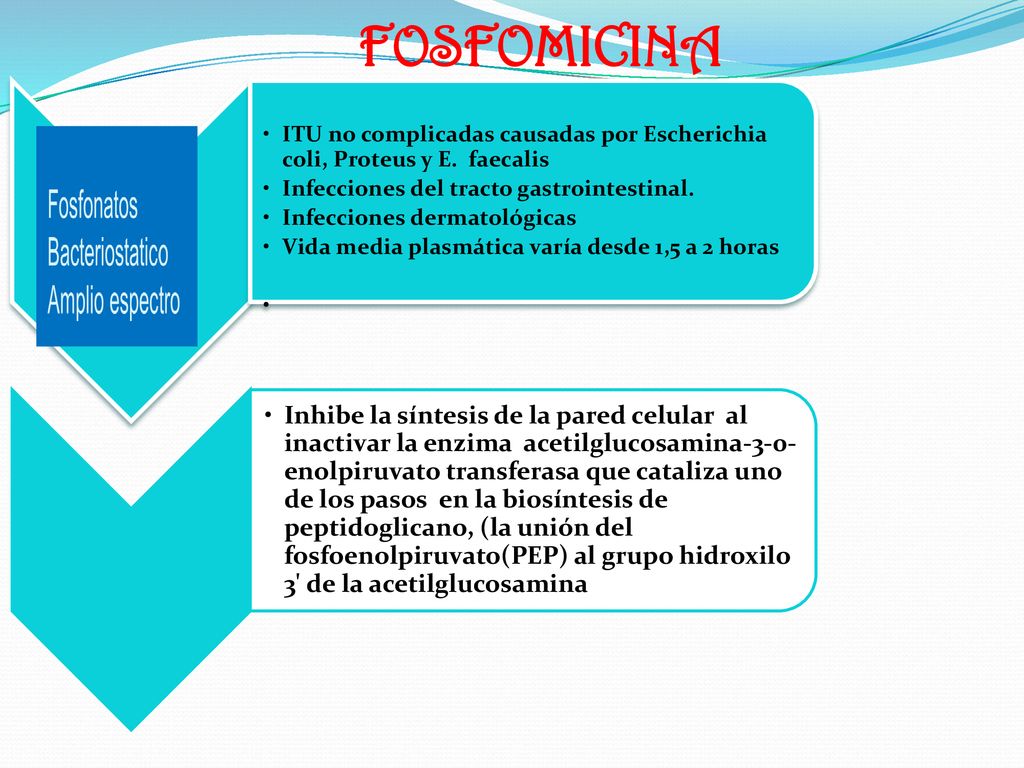 FOSFOMICINA ITU no complicadas causadas por Escherichia coli, Proteus y E. faecalis. Infecciones del tracto gastrointestinal.