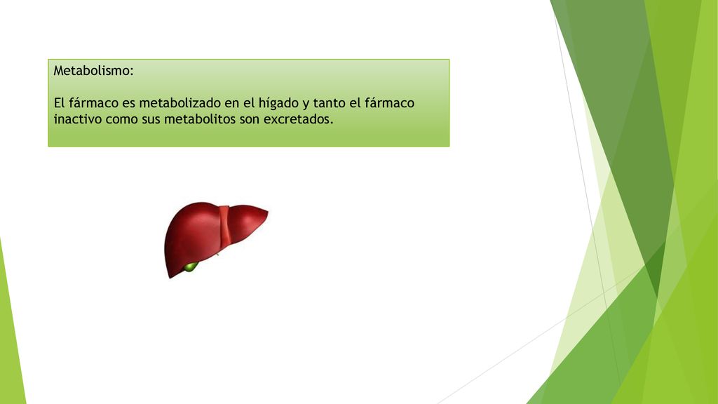 Metabolismo: El fármaco es metabolizado en el hígado y tanto el fármaco inactivo como sus metabolitos son excretados.