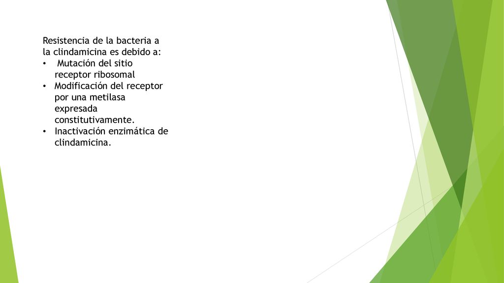 Resistencia de la bacteria a la clindamicina es debido a: