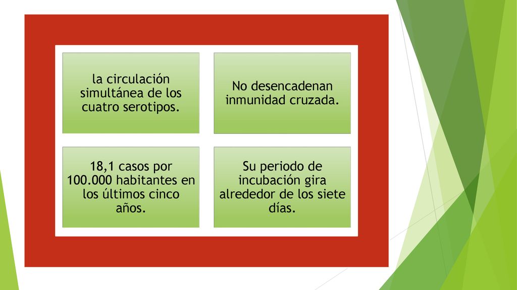 la circulación simultánea de los cuatro serotipos.
