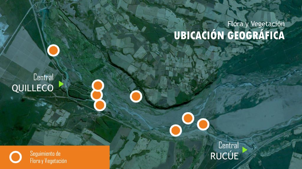 UBICACIÓN GEOGRÁFICA QUILLECO RUCÚE Central Central Flora y Vegetación