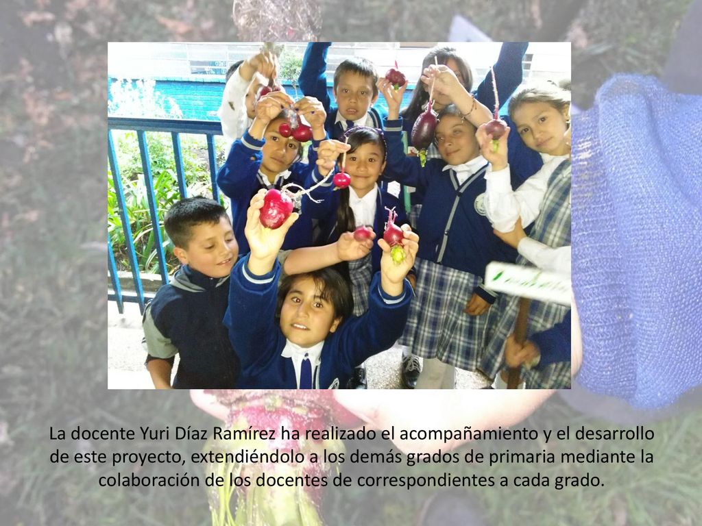 La docente Yuri Díaz Ramírez ha realizado el acompañamiento y el desarrollo de este proyecto, extendiéndolo a los demás grados de primaria mediante la colaboración de los docentes de correspondientes a cada grado.
