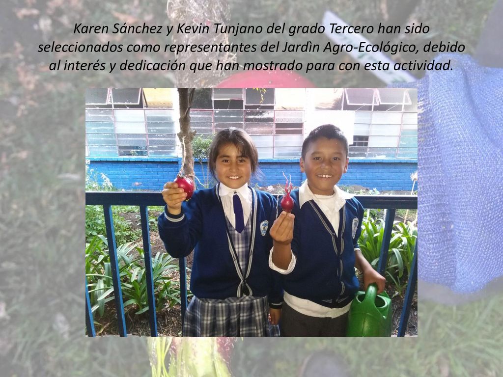 Karen Sánchez y Kevin Tunjano del grado Tercero han sido seleccionados como representantes del Jardìn Agro-Ecológico, debido al interés y dedicación que han mostrado para con esta actividad.