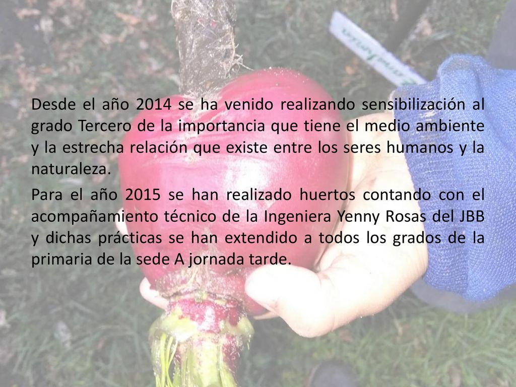 Desde el año 2014 se ha venido realizando sensibilización al grado Tercero de la importancia que tiene el medio ambiente y la estrecha relación que existe entre los seres humanos y la naturaleza.
