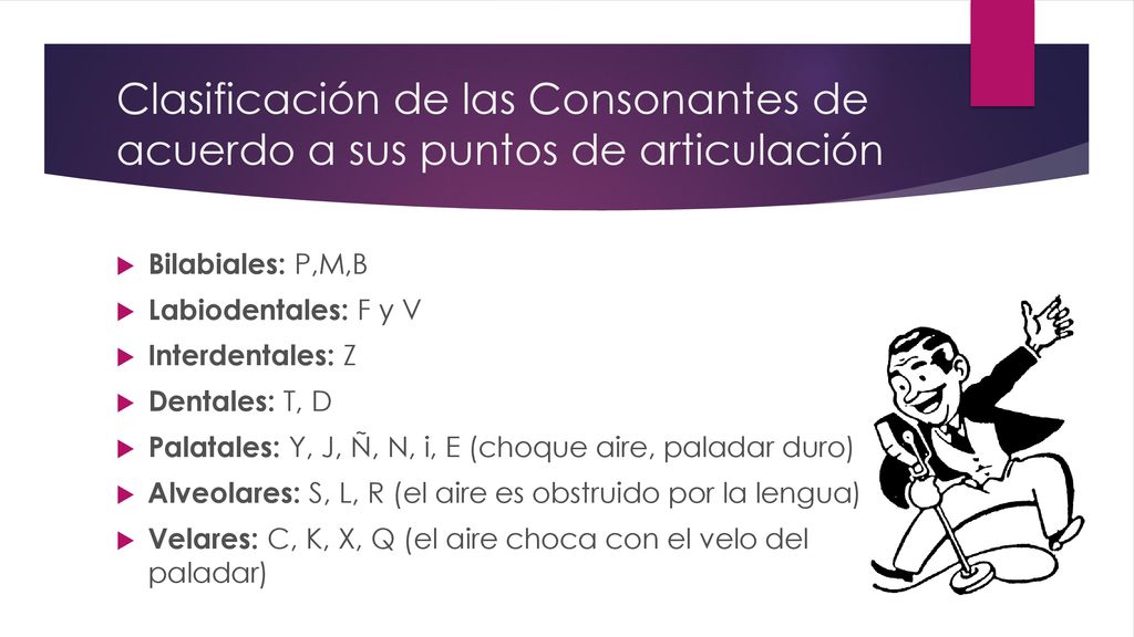 Clasificación de las Consonantes de acuerdo a sus puntos de articulación