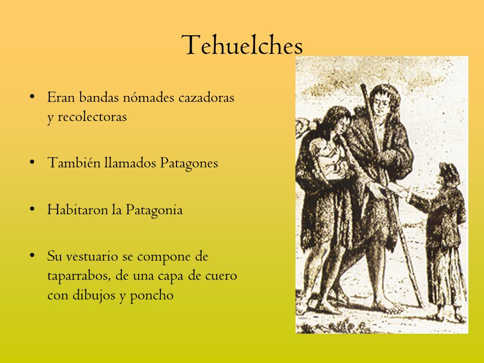 Tehuelches Eran bandas nómades cazadoras y recolectoras