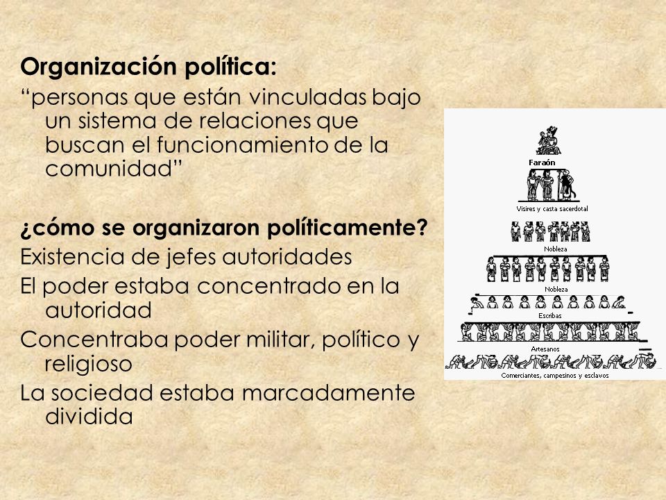 Organización política: