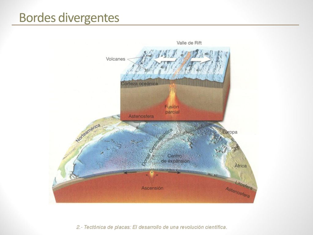 Bordes divergentes 2.- Tectónica de placas: El desarrollo de una revolución científica.