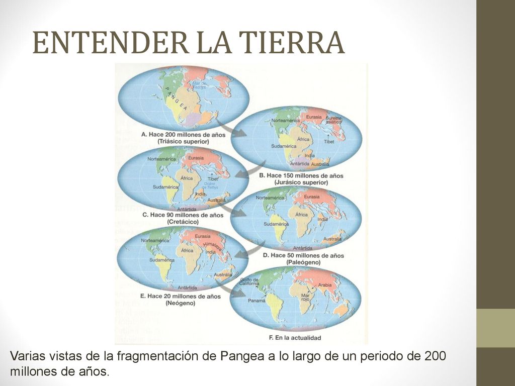 ENTENDER LA TIERRA Varias vistas de la fragmentación de Pangea a lo largo de un periodo de 200 millones de años.